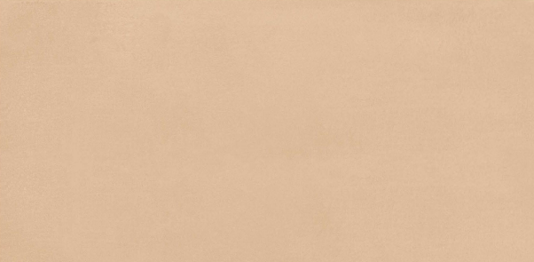 TL 05626 Dark Beige Lapis 1200x600 mm Matte Finish Floor & Wall Tile - 9 mm | Image 1