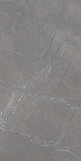 TL 05620 Grey Armel 1200x600 mm Matte Finish Floor & Wall Tile - 9 mm | Image 1