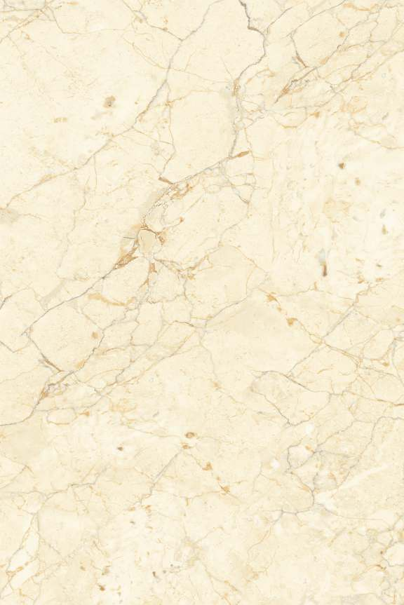 A close-up of aRozalia Gold (Ivory Body) with a Glossy finish available at Material Depot in Bangalore