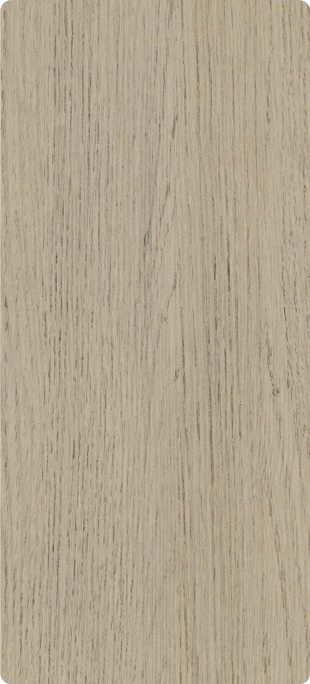 Material Depot laminates in bangalore - high quality image of a 1203 EL Gallantry Wood Grey Decorative Laminate from Manilam with Texture finish