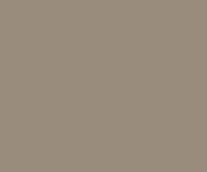 8455 Tropical Tan Brown Colour Paint Paints  Brown| Image 1