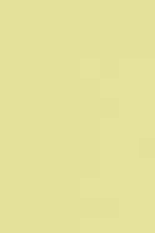 G 582/1582 Lemon Peel Yellow Decorative Laminate of 1 mm with a Suede finish available for sale at Material Depot in Bangalore