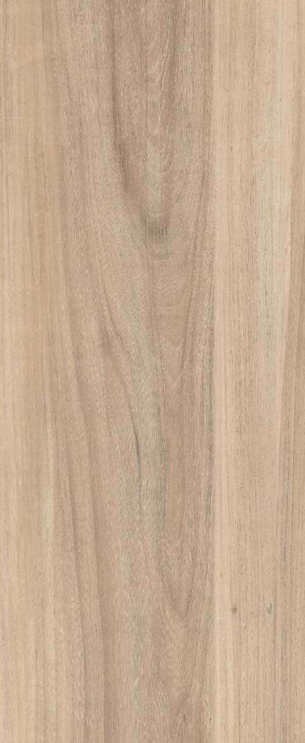 A close-up of a Brown 96527 SAK Corell Walnut with a Texture finish Decorative Laminate available at Material Depot in Bangalore