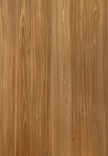 Red Elm 2440x1220 mm Silicon Natural Veneer - 3.7 mm | Image 01