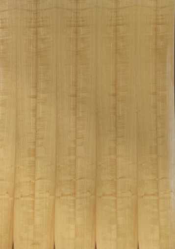 White Ash Premium 2440x1220 mm Silicon Natural Veneer - 3.7 mm | Image 01