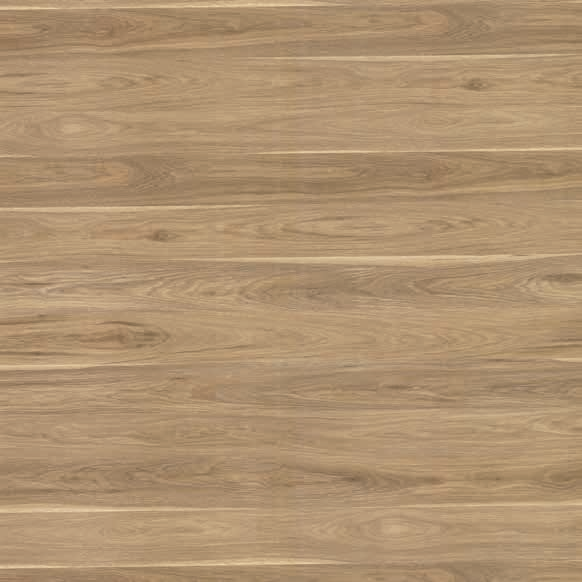 Material Depot laminates in bangalore - high quality image of a 2752 EA Indiana Light Sap  Brown Decorative Laminate from Stylam with Texture finish