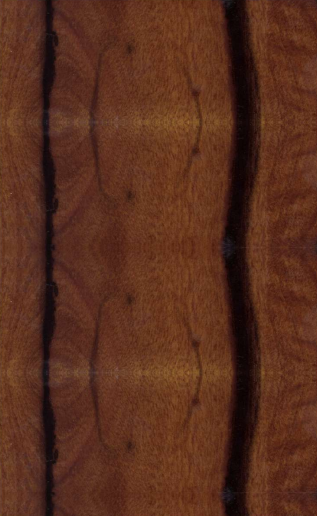 A close-up of a Brown SA 5505 Padouk Veneer with a High Gloss finish Acrylic Laminate available at Material Depot in Bangalore