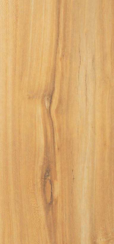 477 PUM Lihasa Palm Brown Decorative Laminate of 1 mm with a PU finish available for sale at Material Depot in Bangalore