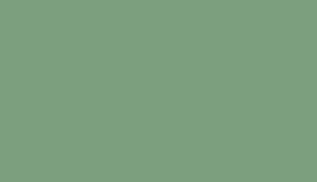 HG 949 Parrot Green 8 ft x 4 ft High Gloss Finish Decorative Laminate - 1 mm Laminates  Green| Image 1