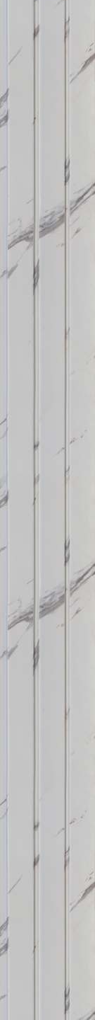 White Charcoal Louvers/Panels Sleek & Splendid Series | 8 ft x 5 inch | SA 2006 Panels  White| Image 1