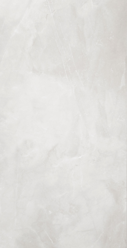 Marble Wall & Floor Tile TL 05529 Luxe Blanco 2 ft x 4 ft Vitrified Glossy Finish - 9 mm | 5 Random Design | Suitable for Living Room, Bedroom, Bathroom, Kitchen | Image 1