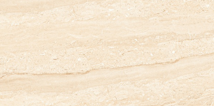 Leopard 6294 1200x600 mm Glossy Finish Premium Glaze Vitrified Tile - 9 mm | Image 1