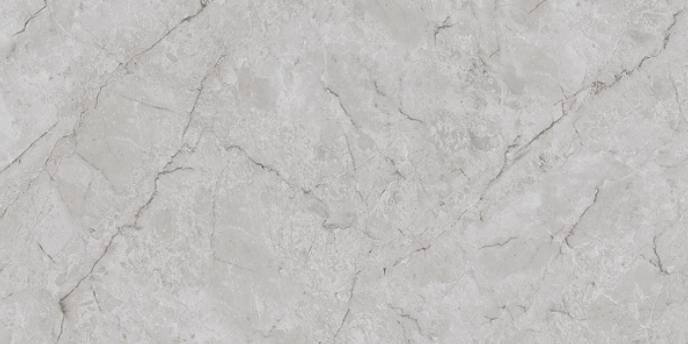 Leopard 6391 1200x600 mm Glossy Finish Premium Glaze Vitrified Tile - 9 mm | Image 1