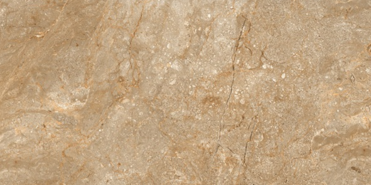 Leopard 6404 1200x600 mm Glossy Finish Premium Glaze Vitrified Tile - 9 mm | Image 1