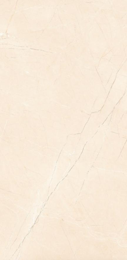 Leopard MR 12028 Matt Rocker 1200x600 mm Matte Finish Glaze Vitrified Floor and Wall Tile - 9 mm | Image 1