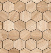 TL 02544 Hexagonal Vitrified Tile | Image -1