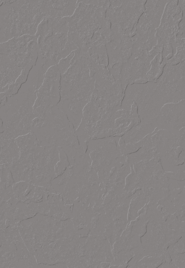 TL 04220 C Punch Vitrified Tile | Image -1