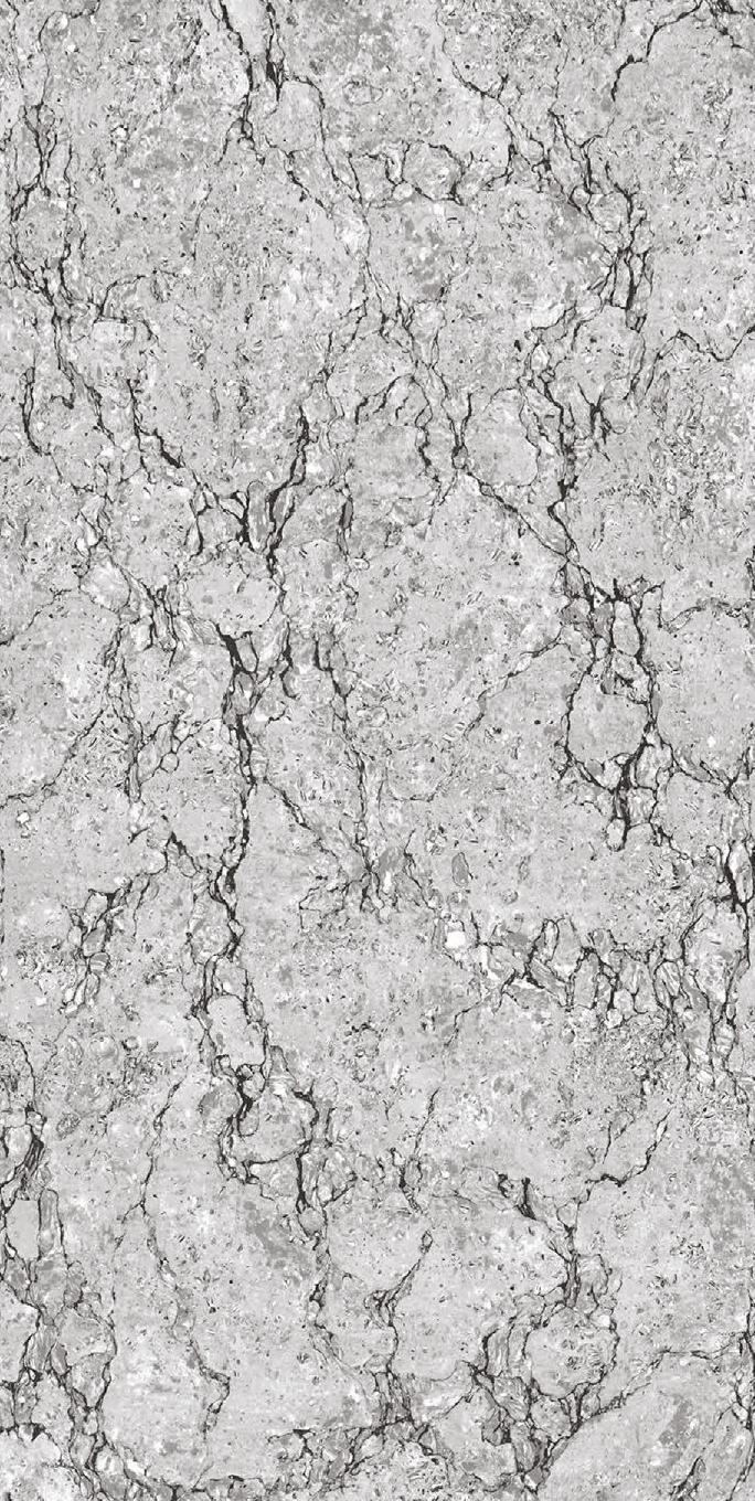 TL 02848 Smoky Grey 4 ft x 2 ft Glossy Finish Vitrified Wall & Floor Tile - 9.5 mm | Image 01