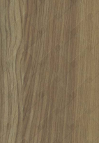 A close-up of a Brown CC 822 Aromatic Elm with a Texture finish Decorative Laminate available at Material Depot in Bangalore