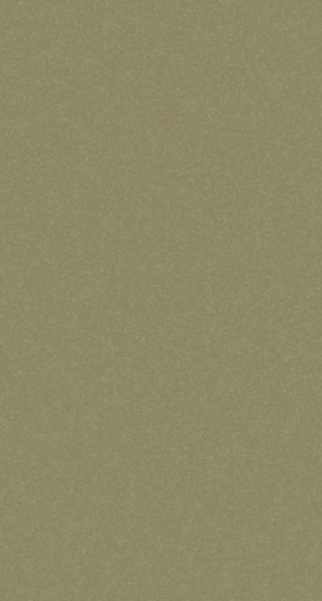 Material Depot laminates in bangalore - high quality image of a N0031 Caramel Grey Green Decorative Laminate from Oliviya Laminates with High Gloss finish