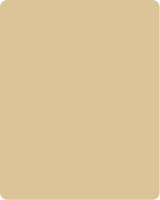 PT 407 Lite 8 ft x 4 ft Acrylic Laminate - 1 mm Laminates  Brown| Image 1