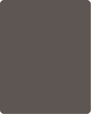 PT 476 Lite 8 ft x 4 ft Acrylic Laminate - 1 mm Laminates  Grey| Image 1