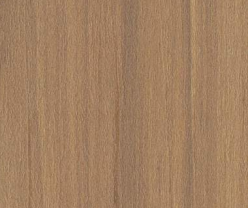 Material Depot laminates in bangalore - high quality image of a 6088 SF Brown Decorative Laminate from Trend Laminates with Suede finish