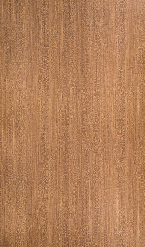 CG 9030 Arizona Sycamore 8 ft x 4 ft Crystal Gloss Finish Laminate - 1 mm | Image 01