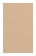 SM 9110 TW Beige 2440x1220 mm Twinkle Finish Laminate - 1 mm | Image 01