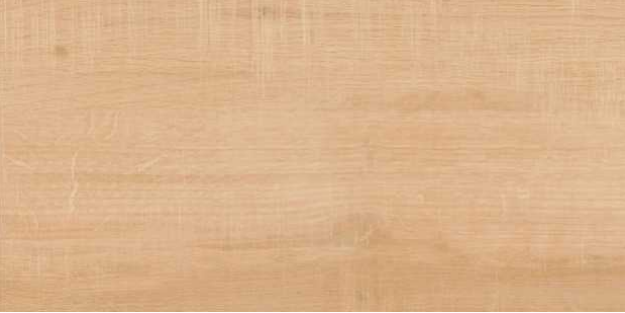 Chandan Wood 600 x 300 mm Glossy Finish Ceramic Glazed Digital Wall Tile - 10 mm | Image 01