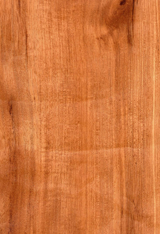 4660 GL Europa Walnut Brown Decorative Laminate of 0.8 mm with a High Gloss finish available for sale at Material Depot in Bangalore