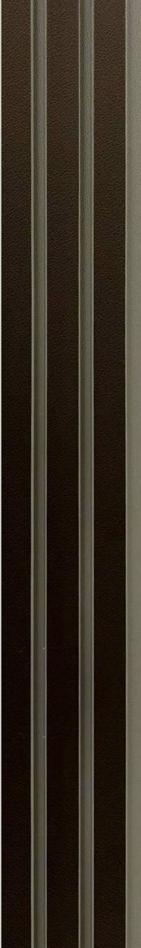 SL 927 8 ft x 5 inch Slat Series Cosmic Decor Panel - 12 mm | Image 01