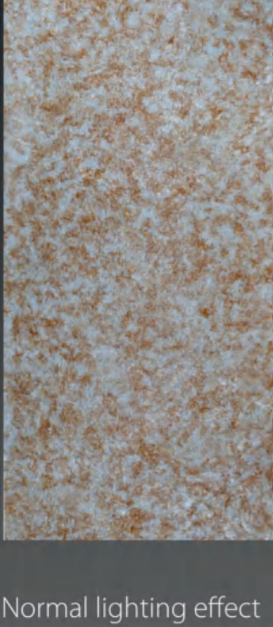 PN 03094 Pearl Series Alabaster Sheets/Panels | 8 ft x 4 ft - 6 mm| Image 1