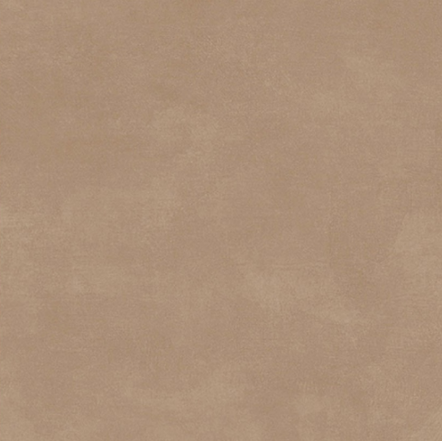 TL 00565 Brown Beaver 2 ft x 2 ft Matte Finish Digital Porcelain Floor & Wall Tile - 9.5 mm| Image 1