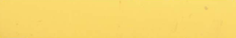 1017 Marigold Yellow Solids Series 22x0.45 mm Matte UV Finish Edgeband - 1 Metre Edgeband 1 Metre Yellow| Image 1