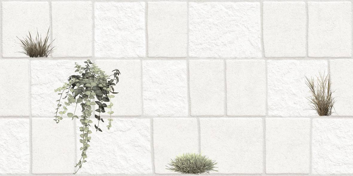 TL 01750 Ice White 2 ft x 1 ft Matte Finish Ceramic Elevation Wall Tile - 10 mm | Image 01