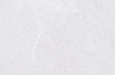 TL 01617 A Light Polar White 18 x 12 inch Glossy Finish Ceramic Wall Tile - 6 mm | Image 01