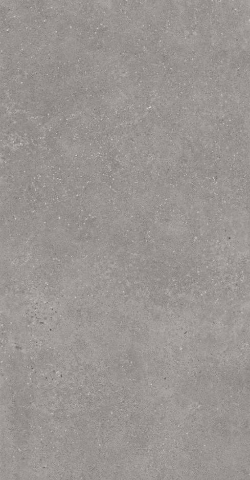 TL 00184 Grey 4 ft x 2 ft Matte Finish Vitrified Wall Tile - 9 mm | Image 1