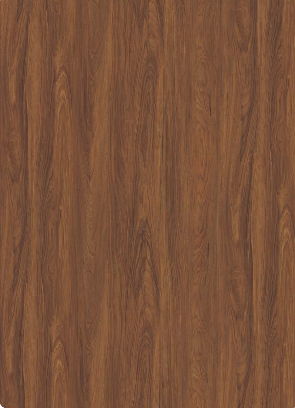 8053 RYL Brazilian Walnut 8 ft x 4 ft Royal Finish Decorative Laminate - 1 mm| Image 1