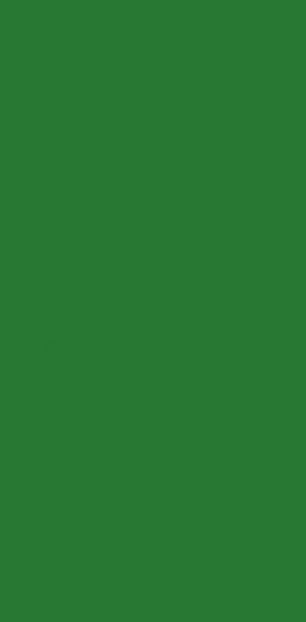 2173 SF Elite Series Parrot Green 8 ft x 4 ft Suede Finish Laminate - 1 mm| Image 1