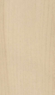 A close-up of a Beige 9109 SCW Alaska Wood with a Texture finish Decorative Laminate available at Material Depot in Bangalore