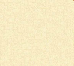 Elite 210352 10 Meter x 21 Inches Elite Plain Wallpaper - 57.41 Sq. Ft. Image 01