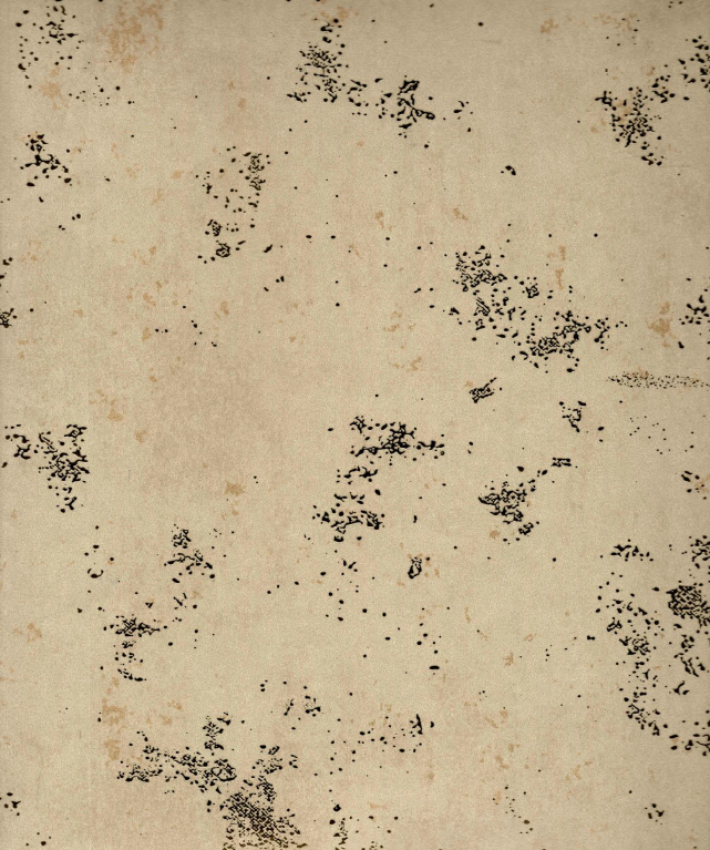 Modelica AMDL211120 10 Mtr x 21 inches Texture Wallpaper - 57 Sq. Ft. Image 01