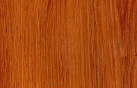 33308 US+ Tanoak Wood Brown Decorative Laminate of 1 mm with a Texture finish available for sale at Material Depot in Bangalore