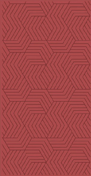 Patterned Finish Red Decorative Wall Panel/Panels | 8 ft x 4 ft - 8 mm | 2015 | Image 01