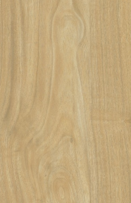 CW 7027 White Oak Brown Decorative Laminate of 1 mm with a Texture finish available for sale at Material Depot in Bangalore