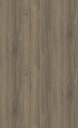 EV 99301 North Land Grey Oak Opulence Series Decorative Wall Panel/Panels | 8 ft x 24 inch - 9 mm | Image 01