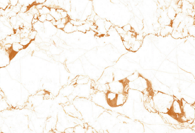 TL 00671 A Floral White Light 12 x 18 inch Glossy Finish Digital Ceramic Wall Tile - 6 mm| Image 1