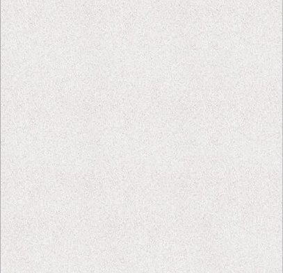 TL 02355 400 x 400 mm Vitrified Parking Floor Tile - 12 mm| Image 1