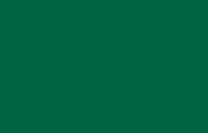 VA308 5 Star Metallic & Solid Colours Series Dark Green 8 ft x 4 ft  ACP Panel - 4 mm| Image 1